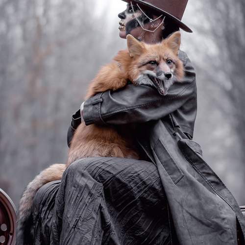 Photo #13247419
