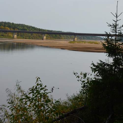Photo #13247476