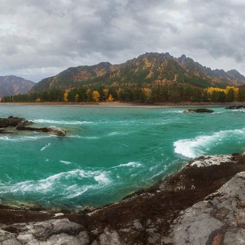 Photo #13247483