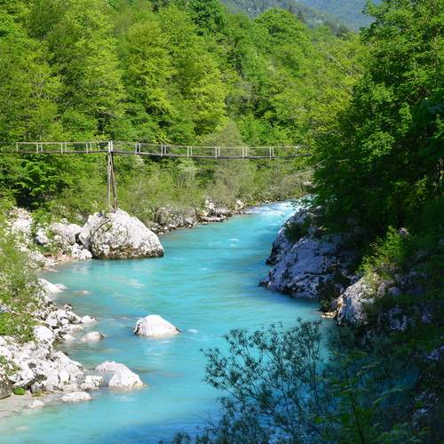 Photo #13247508