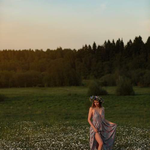 Photo #13247518