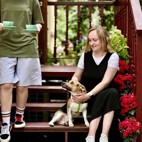 Photo #13247530