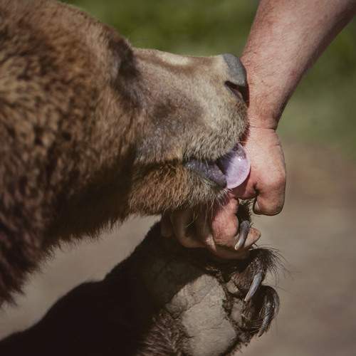Photo #13247544
