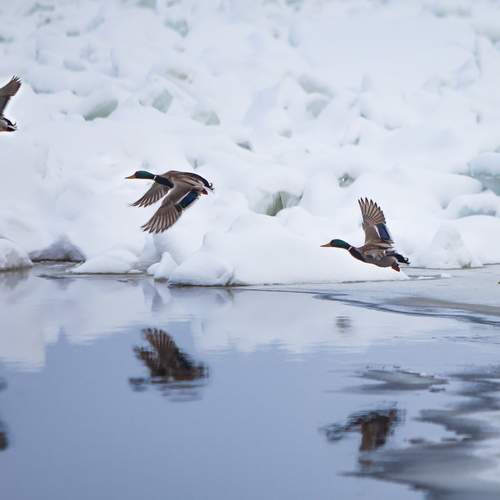 Photo #13247553