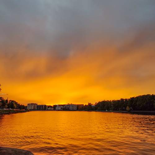 Photo #13247621