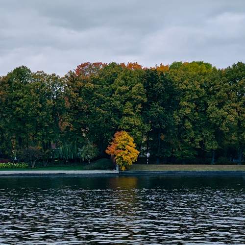 Photo #13247652
