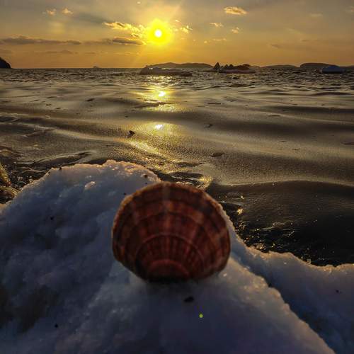 Photo #13247853