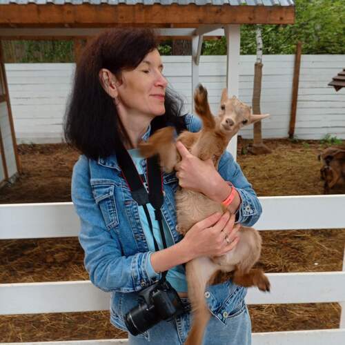 Photo #13247855