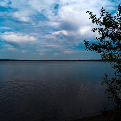 Photo #13247906