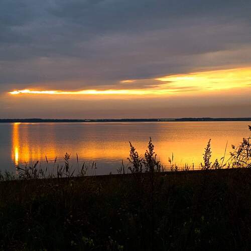 Photo #13247910
