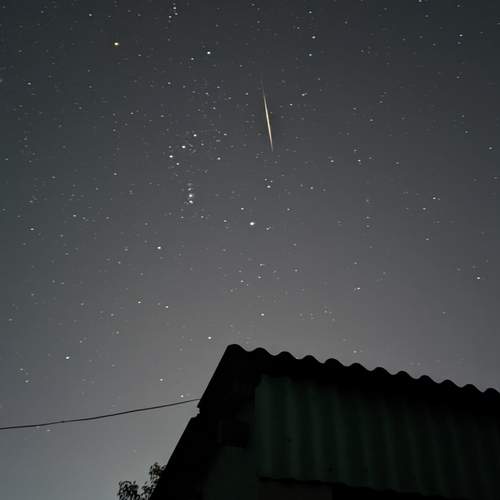 Photo #13248106