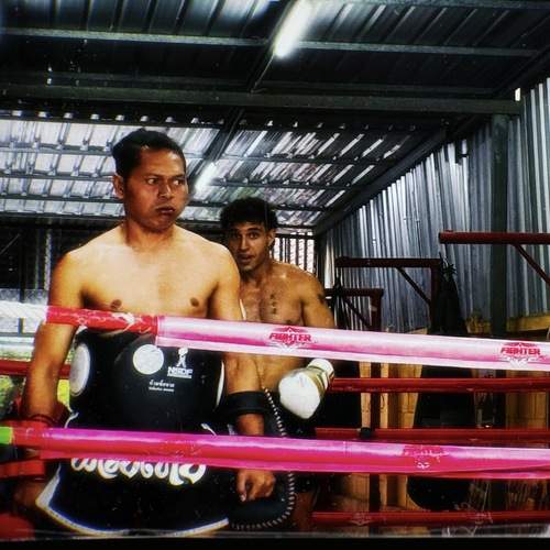 Photo #13248131