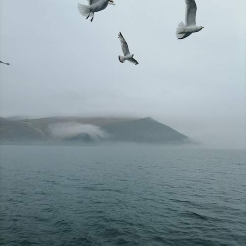 Photo #13248207