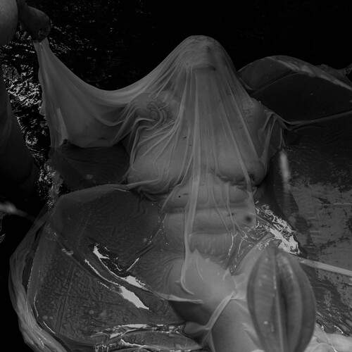 Photo #13248333
