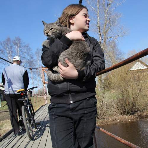 Photo #13248438