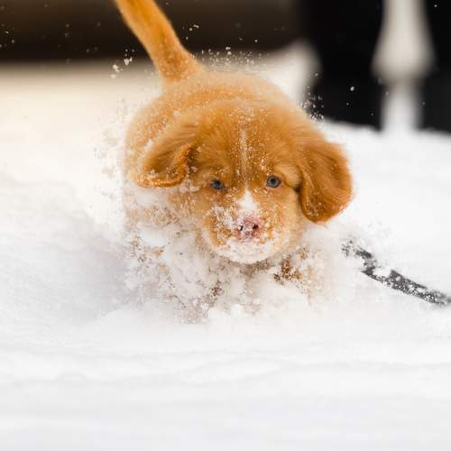 Photo #13248617