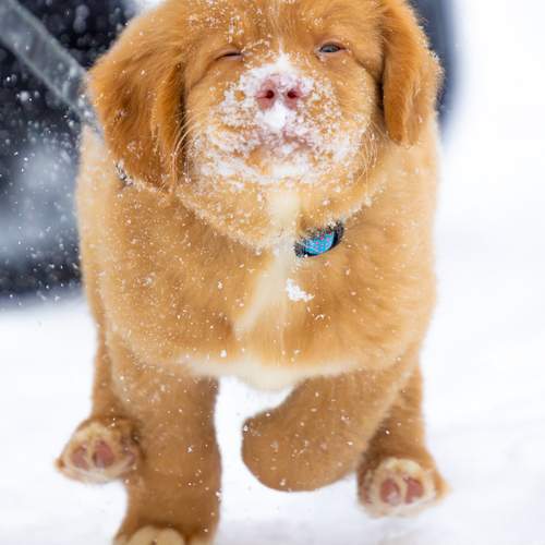 Photo #13248618