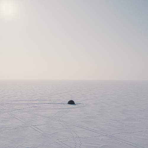 Photo #13248772