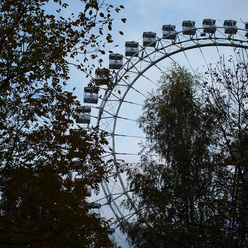 Photo #13248800