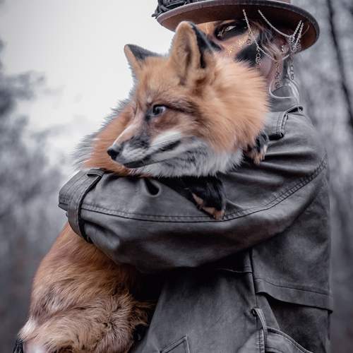 Photo #13248806