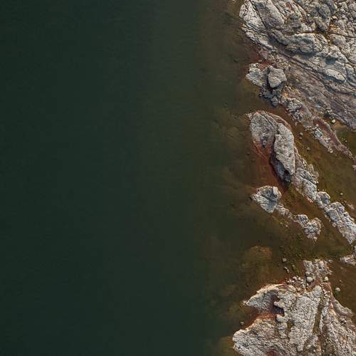 Photo #13248810