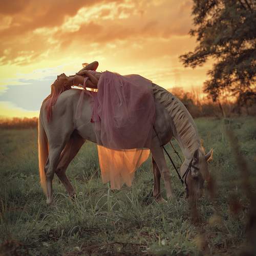 Фотография #13248827