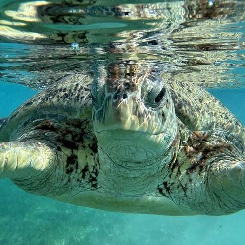 Photo #13248866