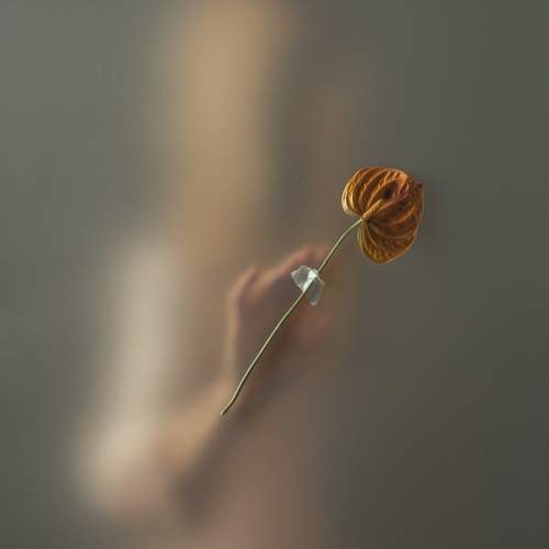 еле уловимая