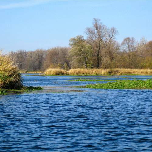 Photo #13249023
