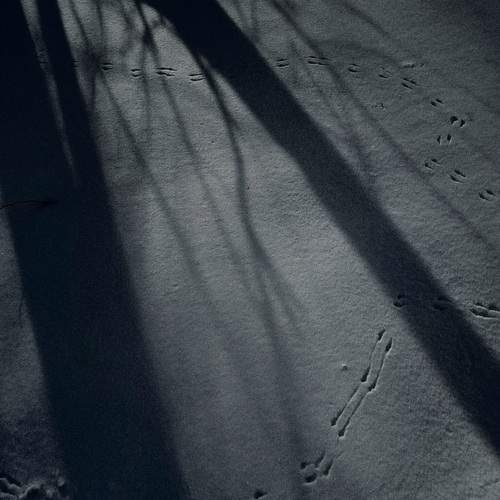 Photo #13249116