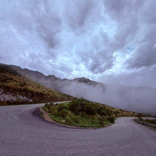 Photo #13249127
