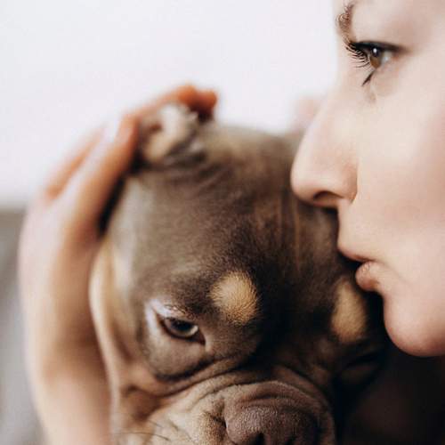 Photo #13249129