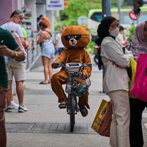 Photo #13249188