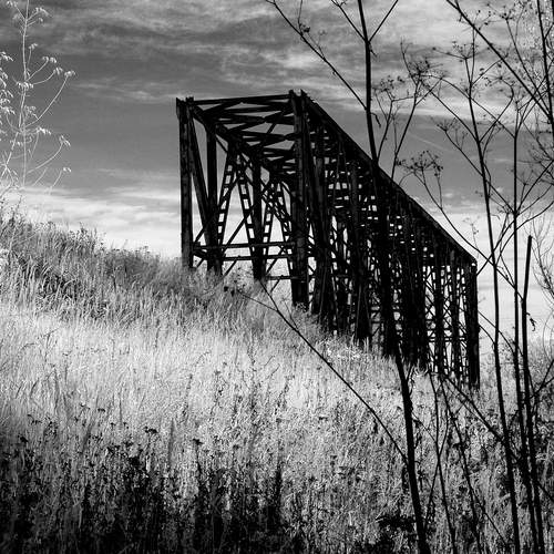 Photo #13249251
