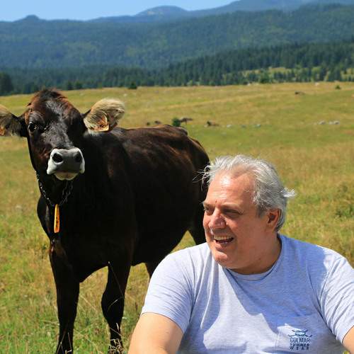 Photo #13249252