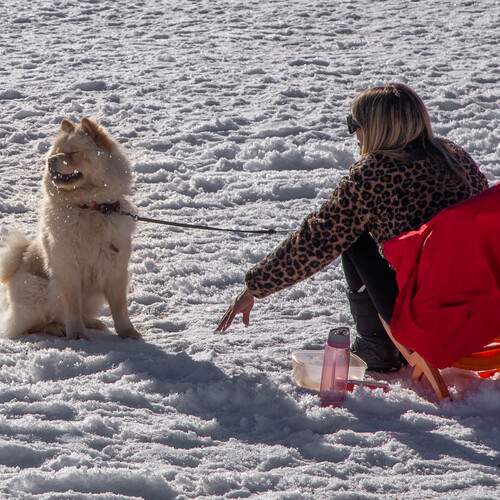 Photo #13249255
