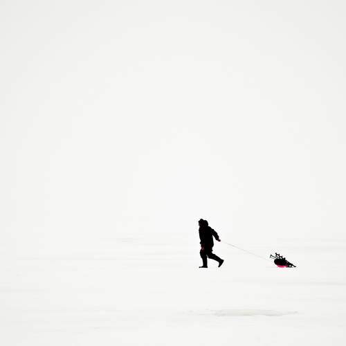 Photo #13249276