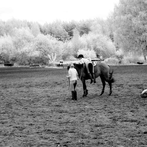 Photo #13249290