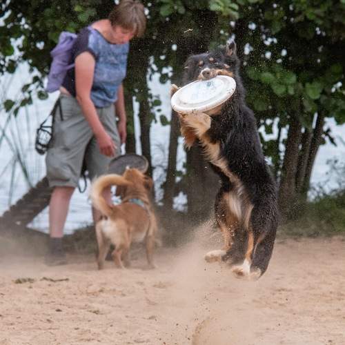 Фотография #13249302