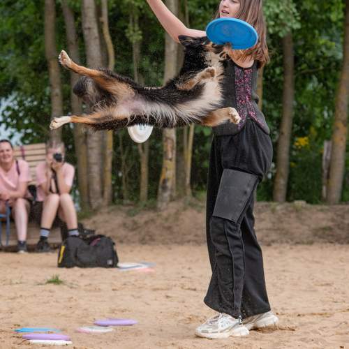 Фотография #13249305