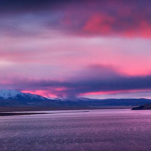 Photo #13249472