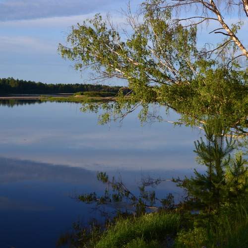 Photo #13249521