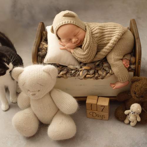Photo #13249642