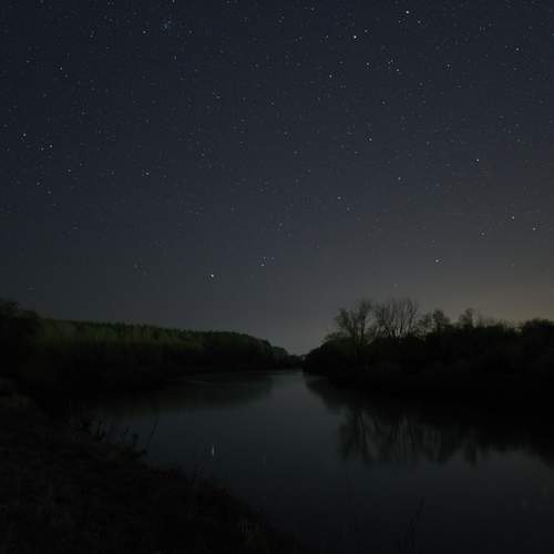 Photo #13249666