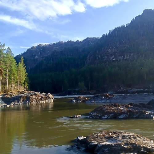Photo #13249670