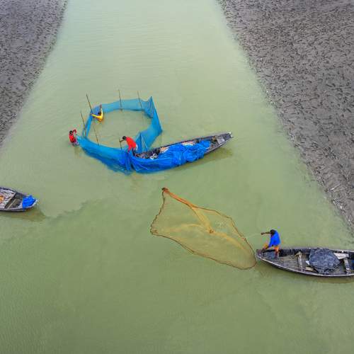 Photo #13249706