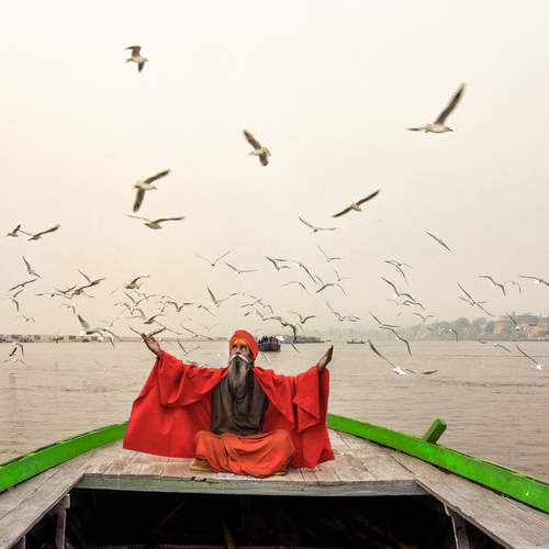 Photo #13249744