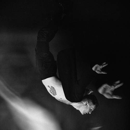 Photo #13249750