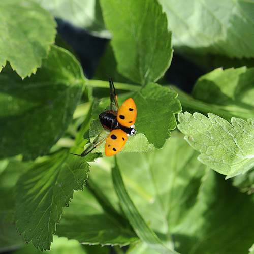 Photo #13249957