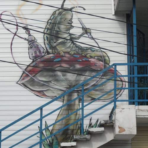 Городской креатив